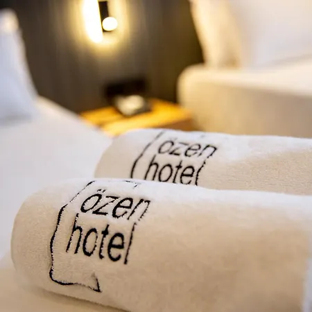 Oezen Hotel 3*